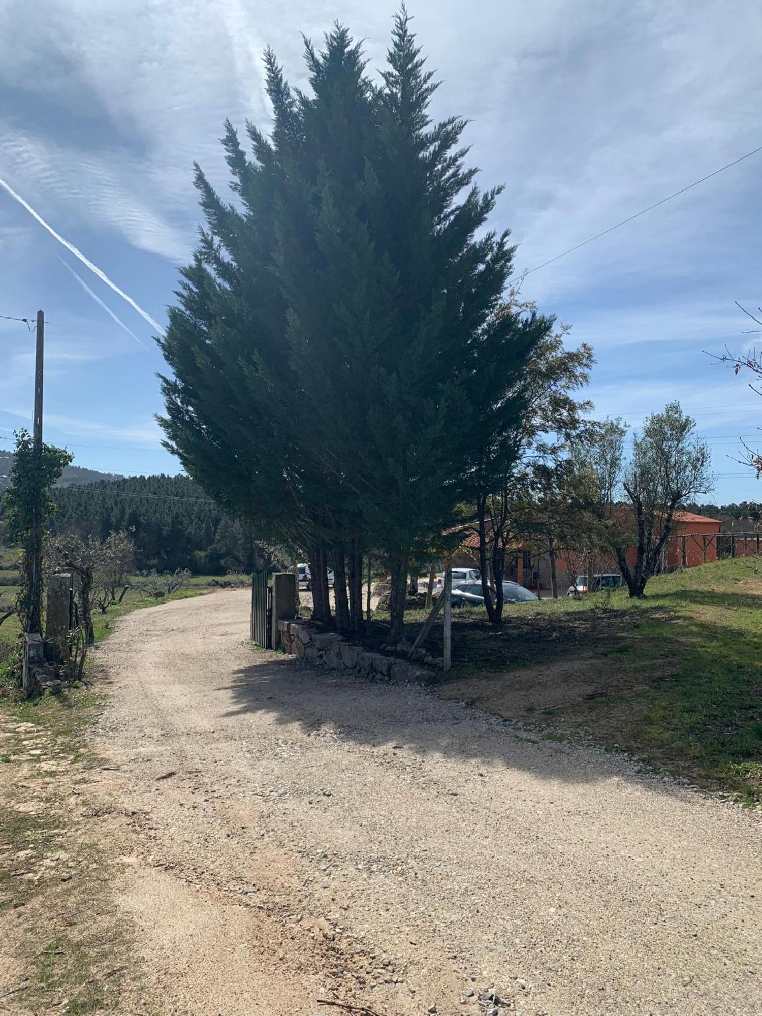 Quinta Dos Cedros L Turismo Rural 科维良 外观 照片
