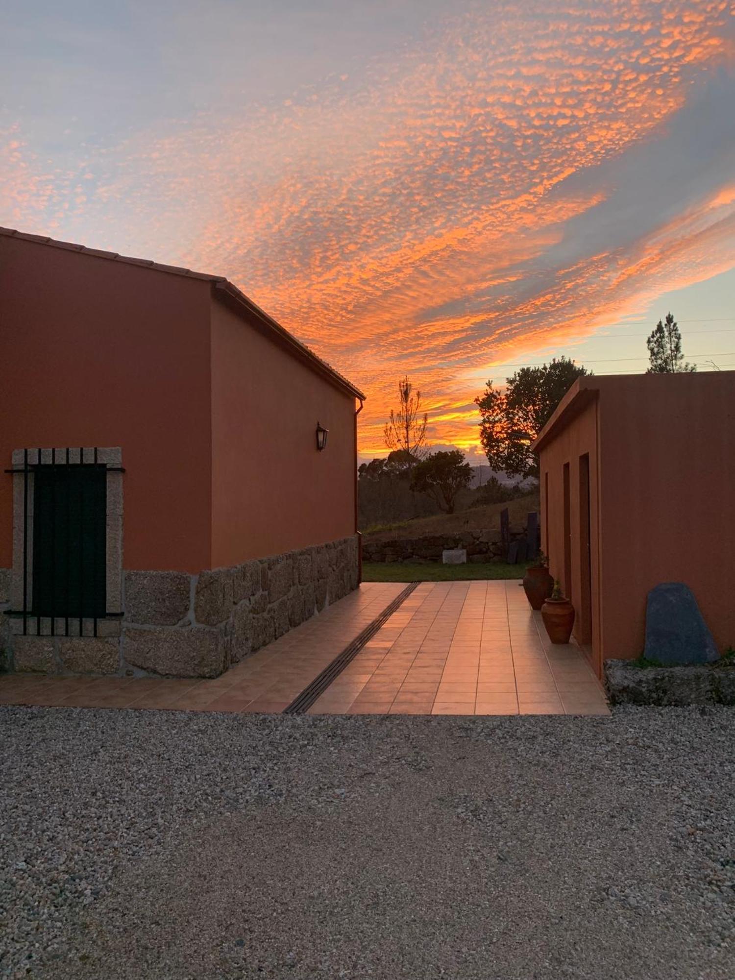 Quinta Dos Cedros L Turismo Rural 科维良 外观 照片